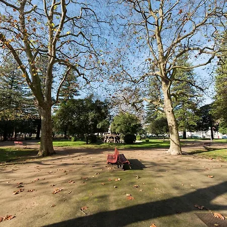 Maison D'oro 波尔图